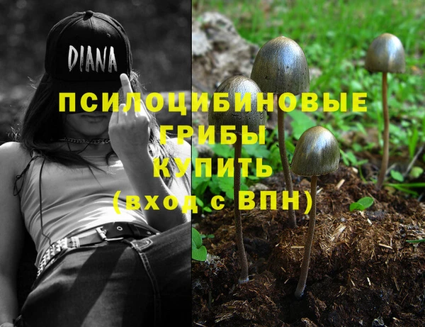 молекула духа Армянск