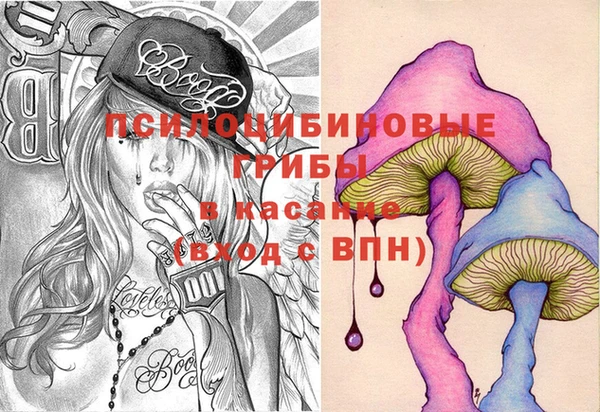 дмт Аркадак