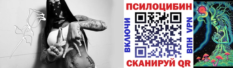 купить наркотики сайты  Нефтегорск  Псилоцибиновые грибы Magic Shrooms 